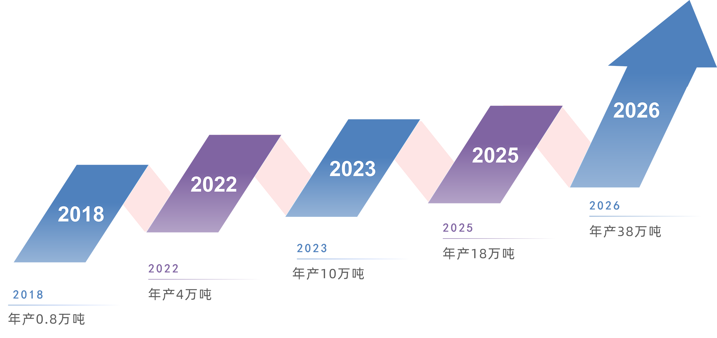 全发国际(集团)有限公司官网
